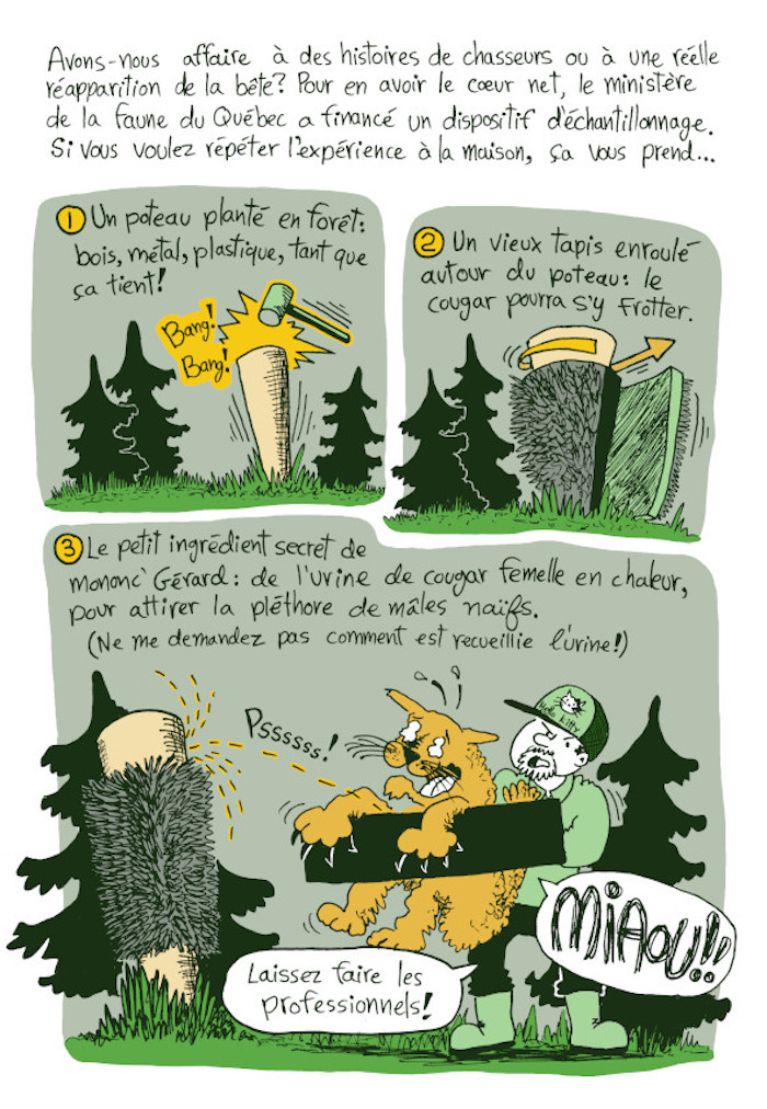 Bande dessinée de vulgarisation scientifique sur le Cougar de l'Est au Québec.
