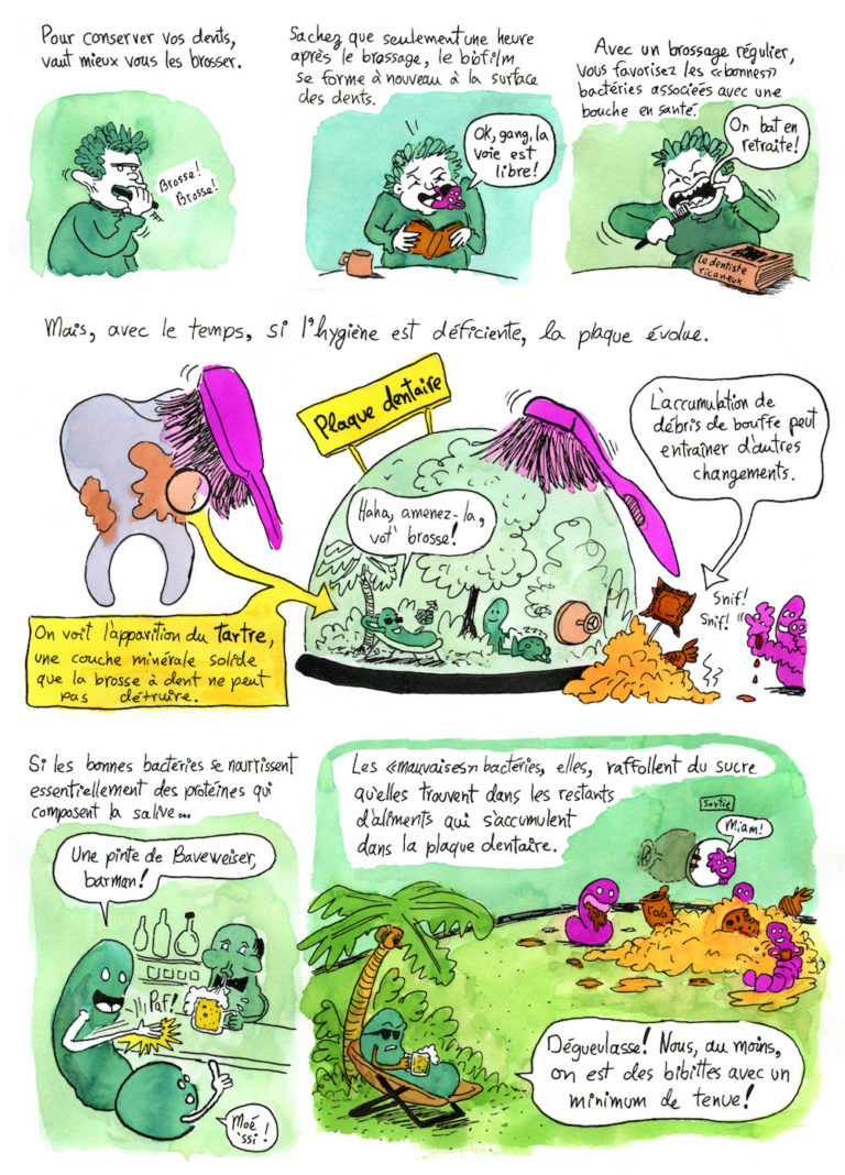 Bande dessinée sur le microbiome et l'écologie buccale