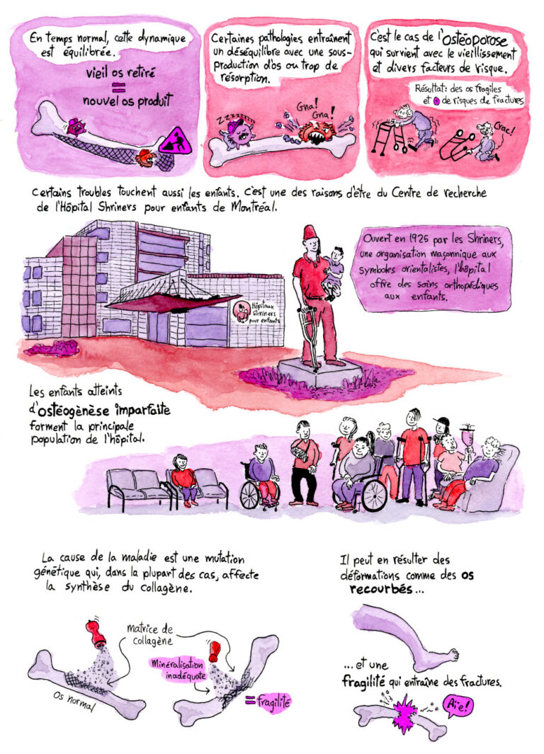 Bande dessinée de vulgarisation scientifique sur la physiologie de l'os et les travaux de recherches à l'hôpital Shriners de Montréal