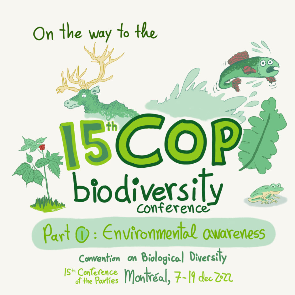 Short comic about COP15 on biological diversity in Montreal and history of environmental regulations