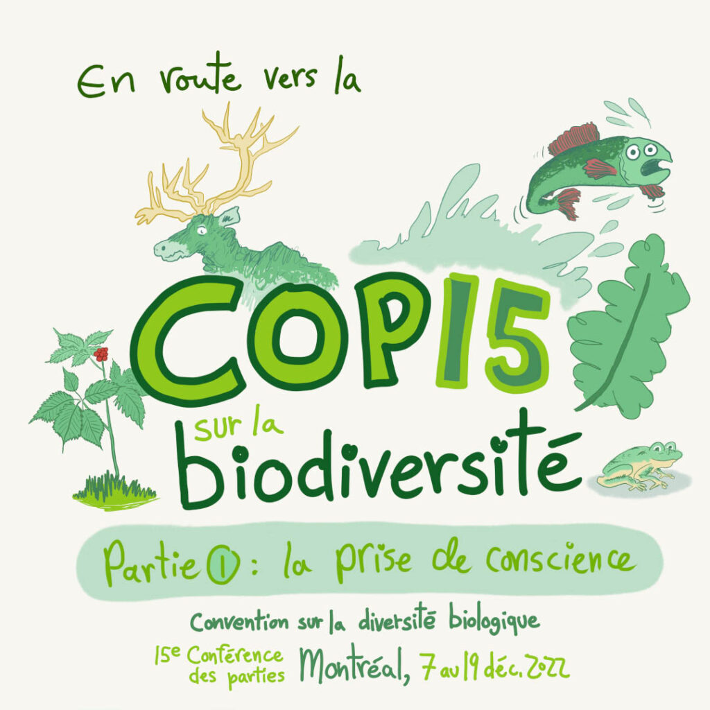 Bande dessinée sur la biodiversité et la COP15 à Montréal