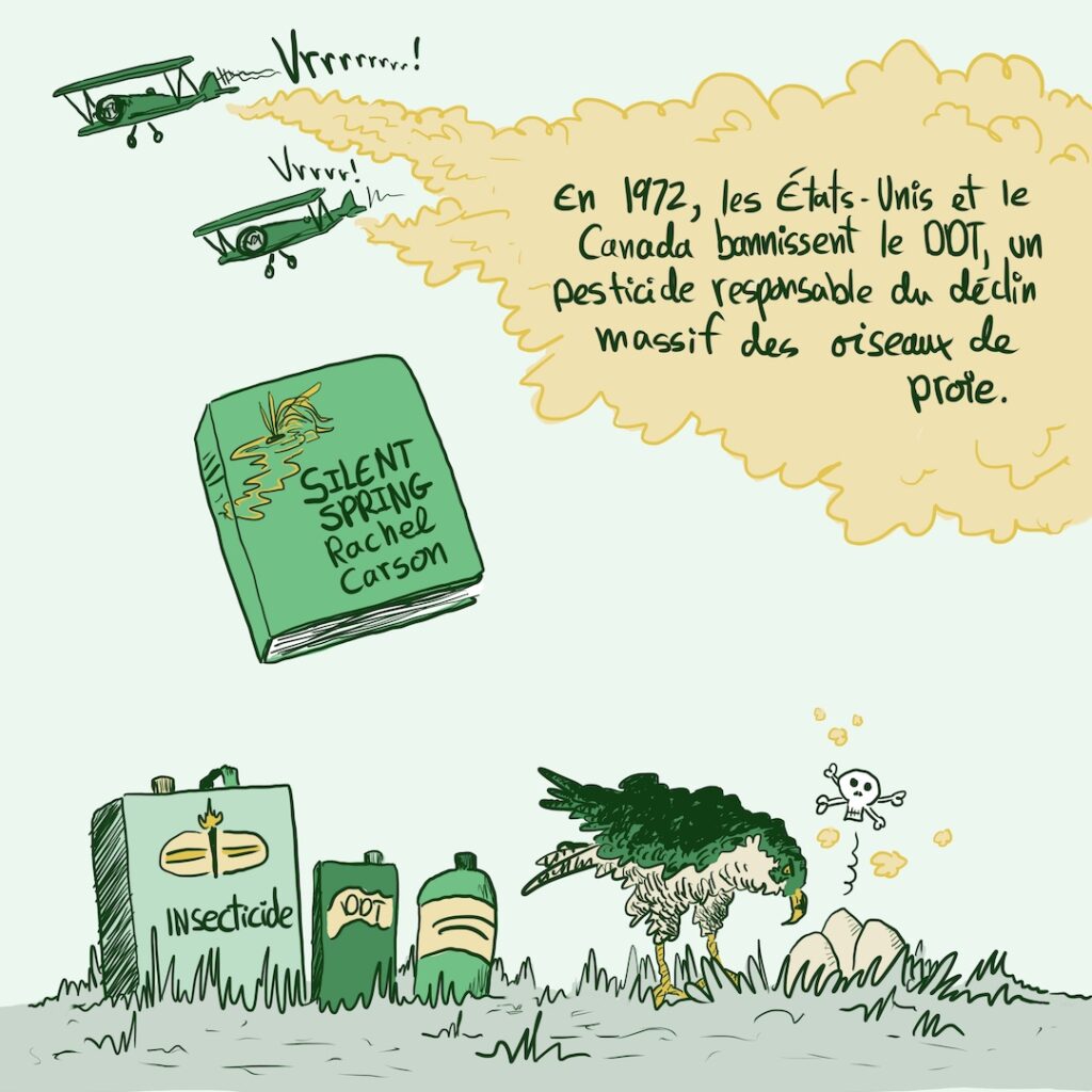 Bande dessinée sur la biodiversité et la COP15 à Montréal