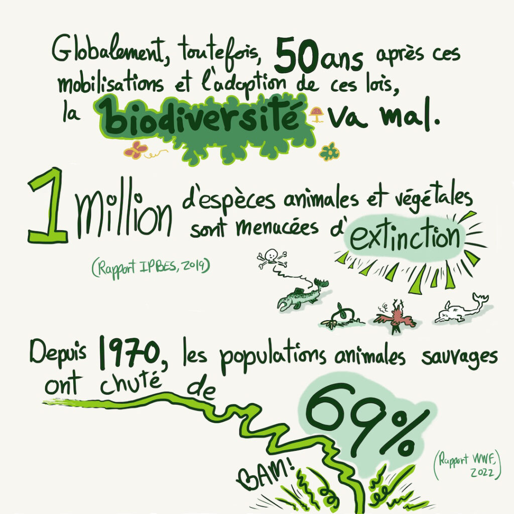 Bande dessinée sur la biodiversité et la COP15 à Montréal