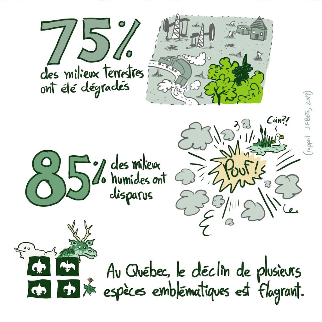 Bande dessinée sur la biodiversité et la COP15 à Montréal