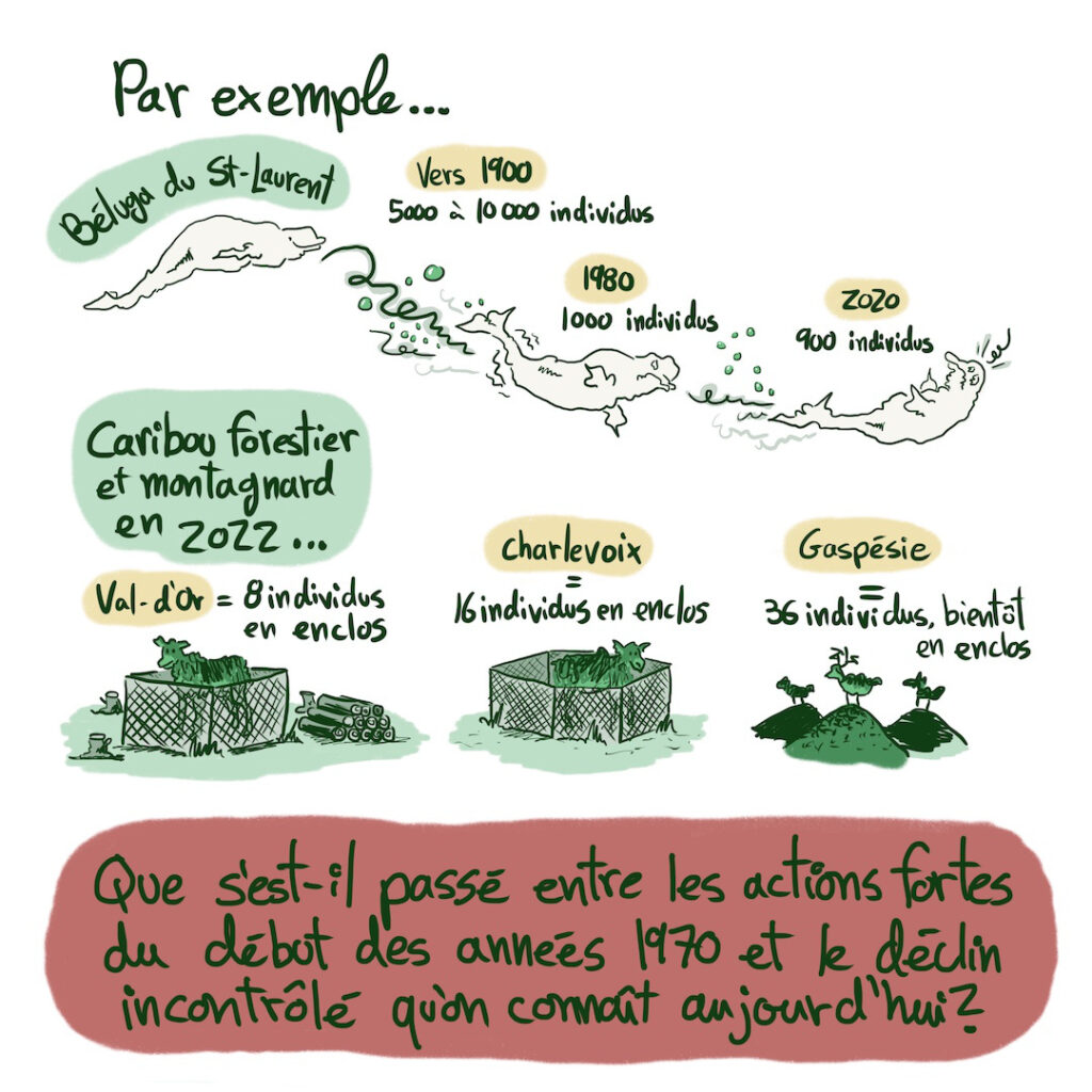 Bande dessinée sur la biodiversité et la COP15 à Montréal