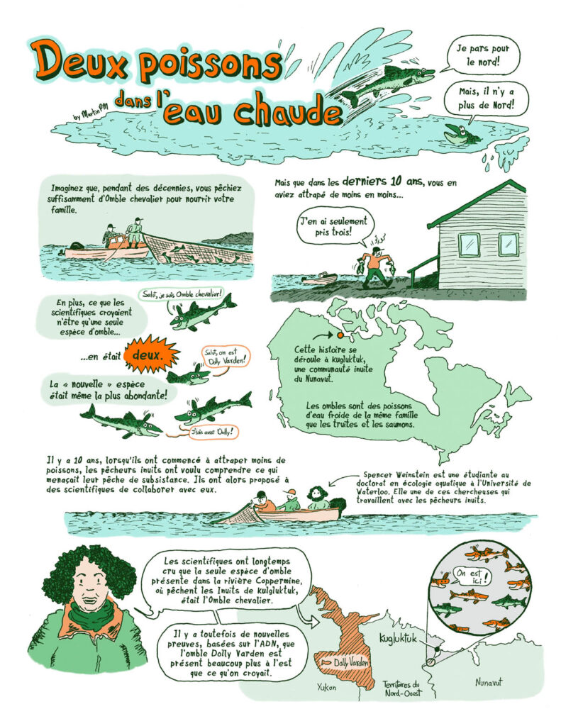 Bande dessinée de vulgarisation scientifique sur le déclin des poissons au Nunavut, en arctique canadien, en lien avec les changements climatiques