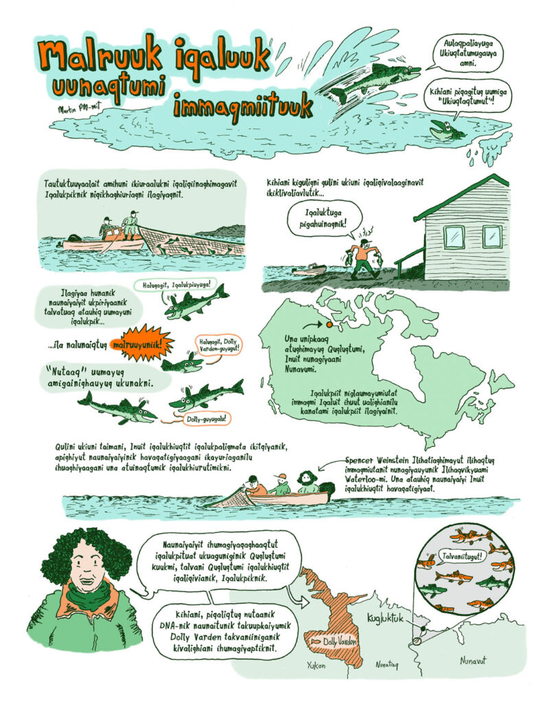 A comic about some fish decline in Nunavut, Canadian Arctic, because of climate change (Inuinnaqtun version)