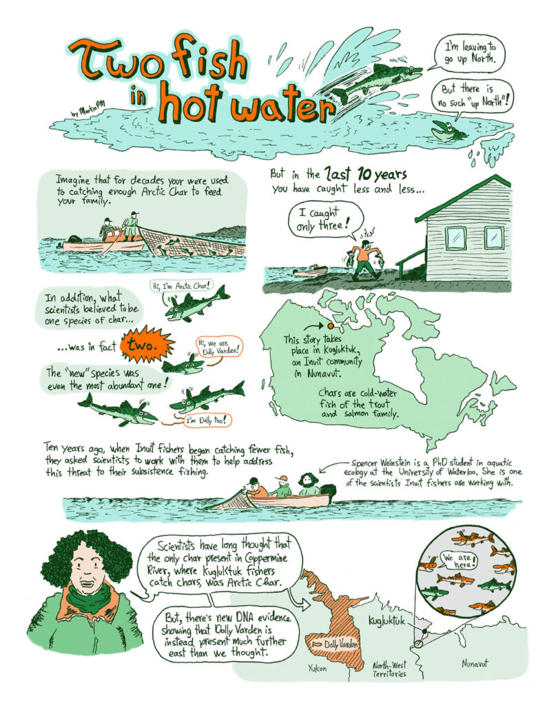 A comic about some fish decline in Nunavut, Canadian Arctic, because of climate change