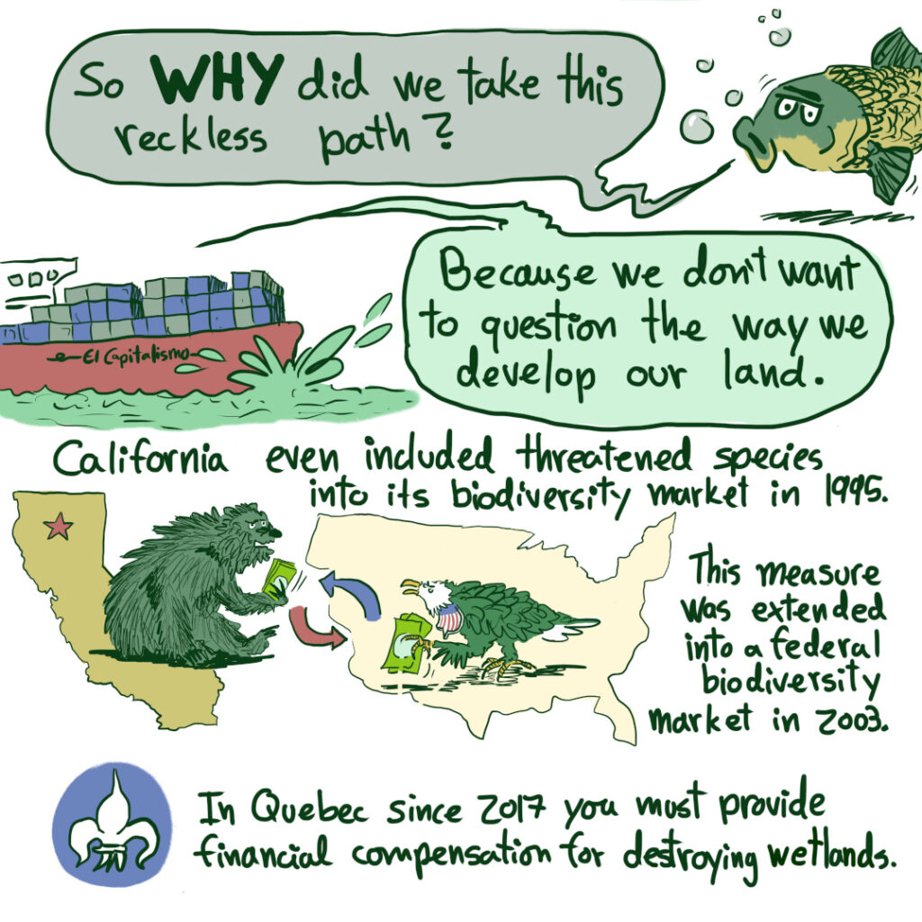 A comic about offsetting and no net loss of fish habitat in Quebec and in Canada. About biodiversity markets in California and USA.