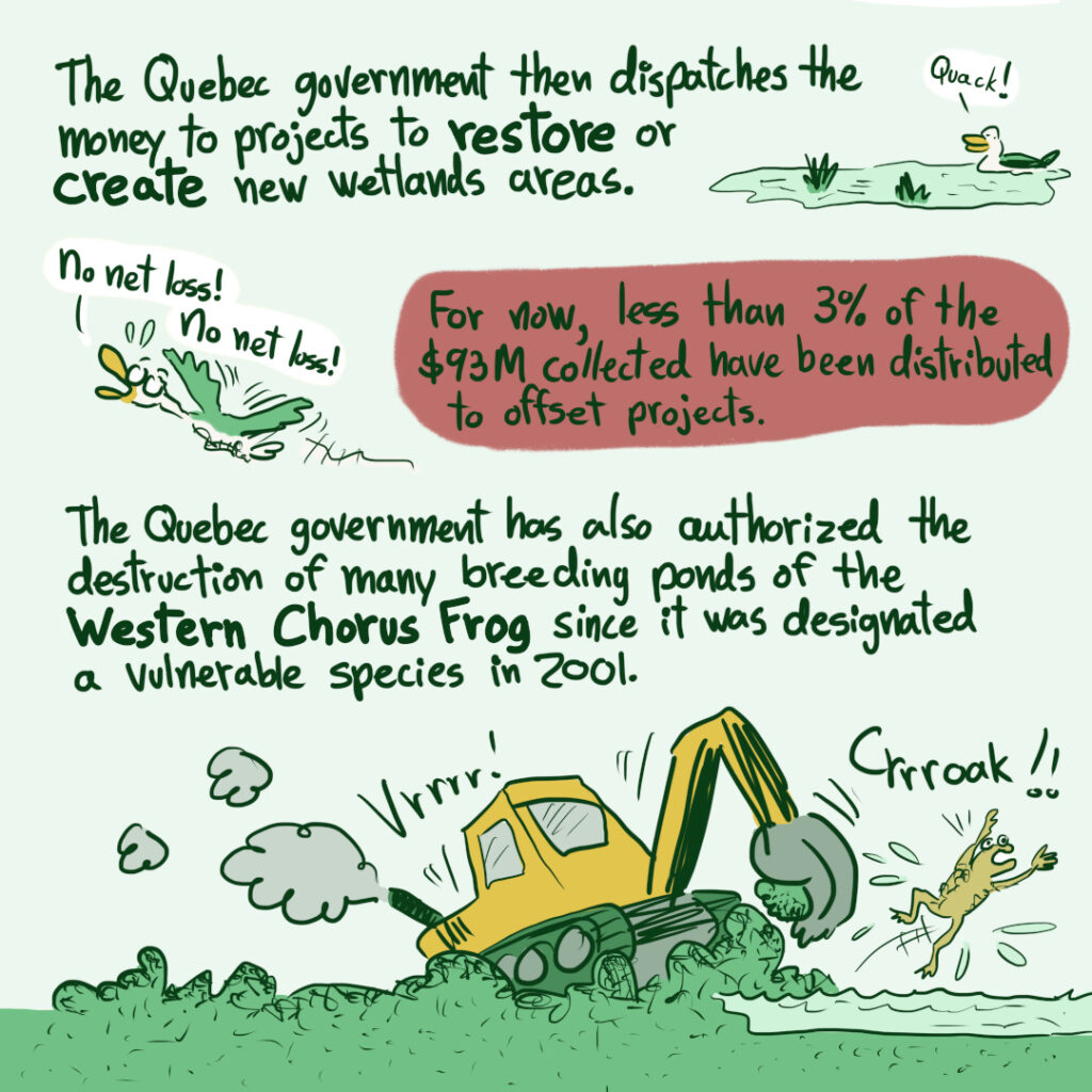 A comic about offsetting and no net of wetlands and Western Chorus Frog habitat in Quebec.