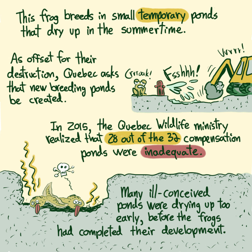 A comic about offsetting and no net of wetlands and Western Chorus Frog habitat in Quebec.