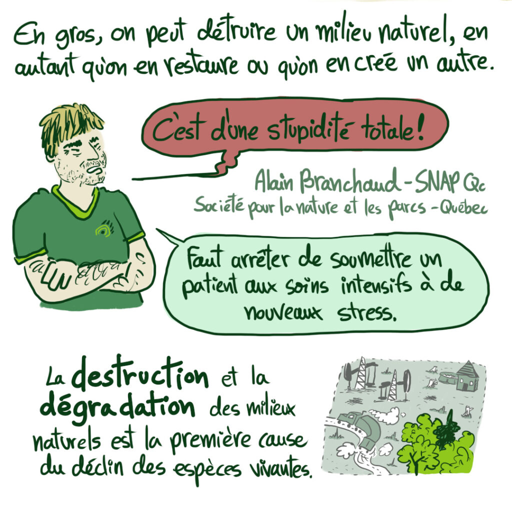 3e capsule en BD sur la COP 15 et la biodiversité: compensation de la destruction de l'habitat du Chevalier cuivré par l'agrandissement du port de Montréal à Contrecoeur. Entrevue avec Alain Branchaud de la SNAP Québec.