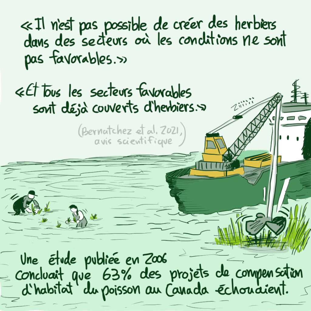 3e capsule en BD sur la COP 15 et la biodiversité: avis scientifique défavorable au projet de compensation de la destruction de l'habitat du Chevalier cuivré par l'agrandissement du port de Montréal à Contrecoeur. 