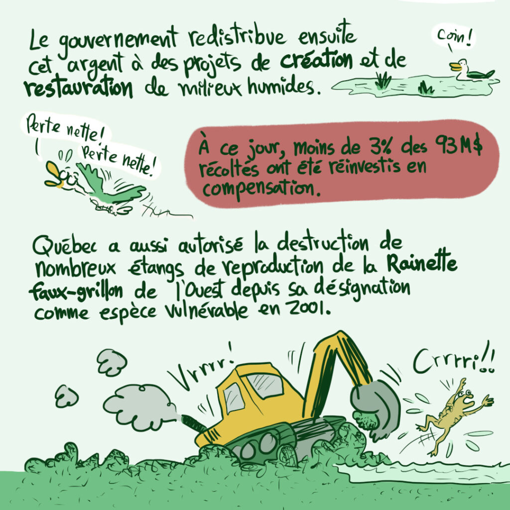 3e capsule en BD sur la COP 15 et la biodiversité: le système de compensation des milieux humides au Québec