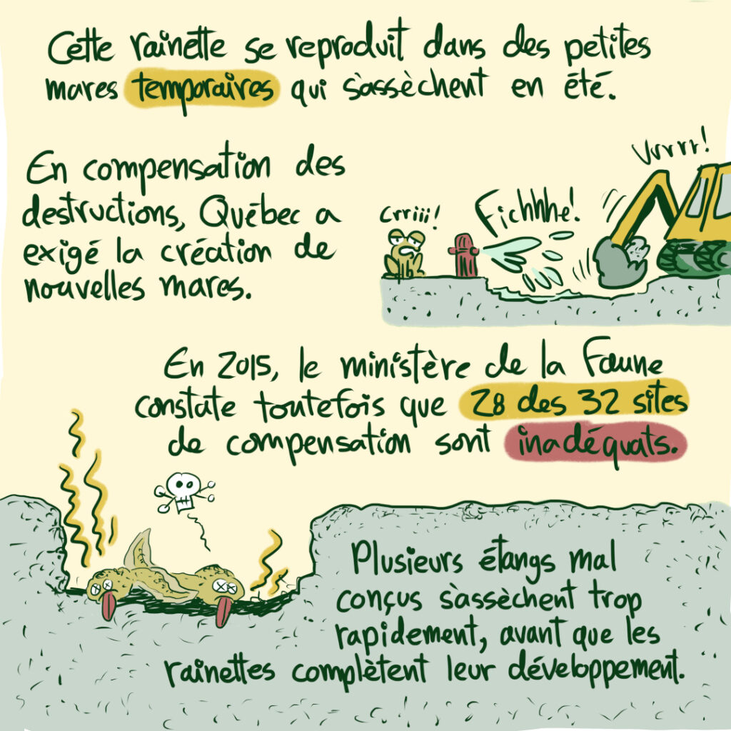 3e capsule en BD sur la COP 15 et la biodiversité: les problèmes de la destruction et de la compensation des habitats de la Rainette faux-grillon de l'Ouest au Québec
