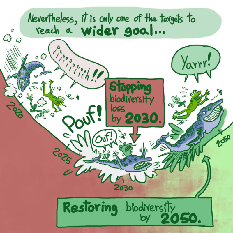 A short comic about COP15 in Montreal, biodiversity and nature positive