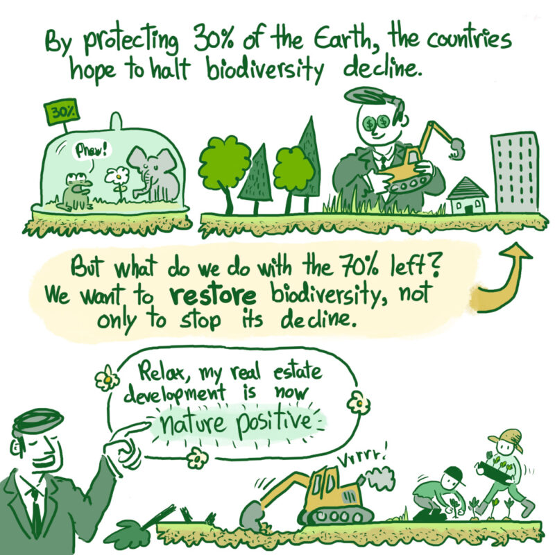A short comic about COP15 in Montreal, biodiversity and nature positive