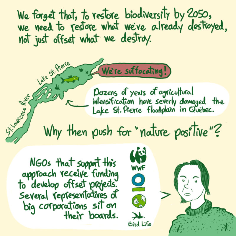 A short comic about COP15 in Montreal, biodiversity and nature positive