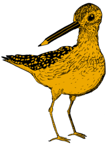 Logo du bédéiste Martin PM - un oiseau avec un crayon à la place du bec