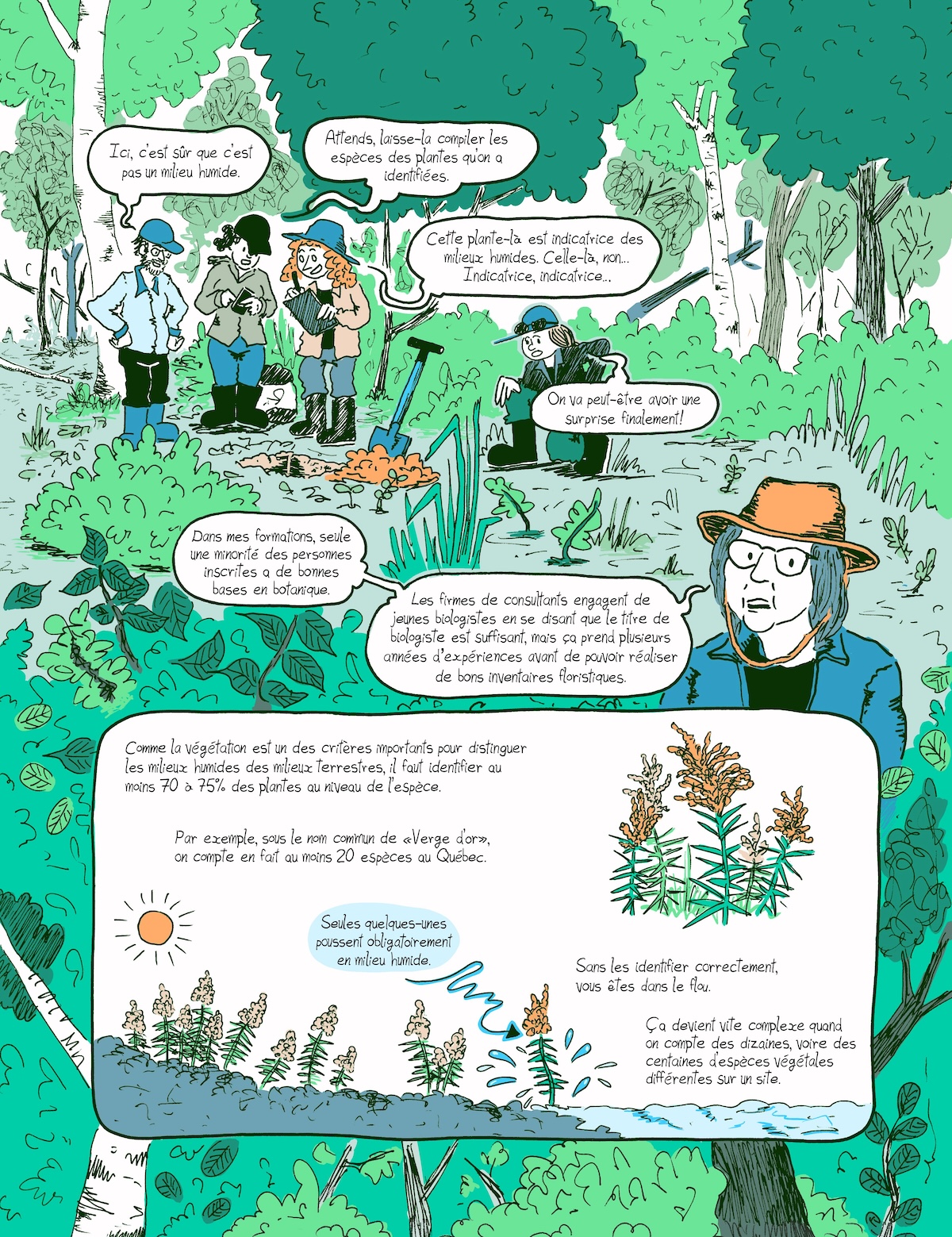 Extrait du bédéreportage « Milieux humides: les contours flous », paru dans le magazine Québec science en avril 2026. On y voit un groupe de biologiste tenter d'identifier un milieu humide lors d'une formation de l'Association des biologiste du Québec. On y explique comment les connaissances botaniques y sont essentielles.